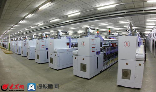 泰山區上高街道 項目建設點燃新舊動能轉換助推器，技術開發引領高質量發展